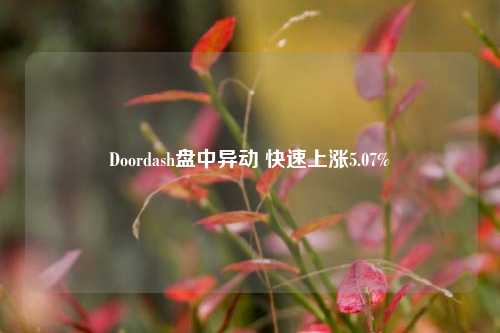 Doordash盘中异动 快速上涨5.07%-第1张图片-旅游攻略分享平台-独家小贴士