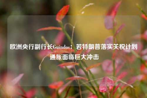 欧洲央行副行长Guindos：若特朗普落实关税计划 通胀面临巨大冲击-第1张图片-旅游攻略分享平台-独家小贴士