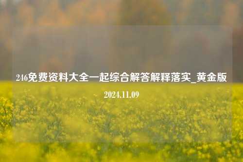 246免费资料大全一起综合解答解释落实_黄金版2024.11.09-第1张图片-旅游攻略分享平台-独家小贴士