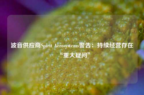 波音供应商Spirit Aerosystems警告：持续经营存在“重大疑问”-第1张图片-旅游攻略分享平台-独家小贴士