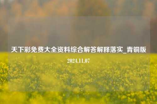 天下彩免费大全资料综合解答解释落实_青铜版2024.11.07-第1张图片-旅游攻略分享平台-独家小贴士