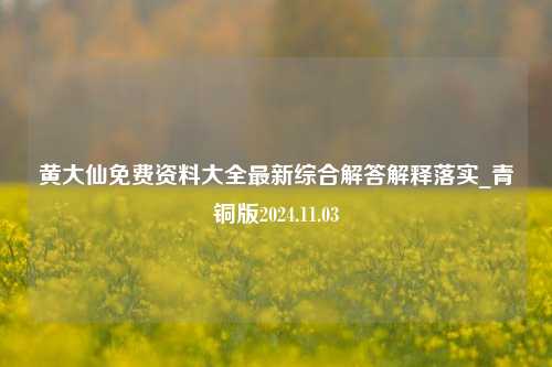 黄大仙免费资料大全最新综合解答解释落实_青铜版2024.11.03-第1张图片-旅游攻略分享平台-独家小贴士