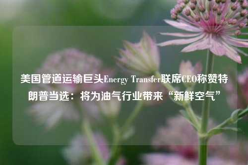 美国管道运输巨头Energy Transfer联席CEO称赞特朗普当选：将为油气行业带来“新鲜空气”-第1张图片-旅游攻略分享平台-独家小贴士