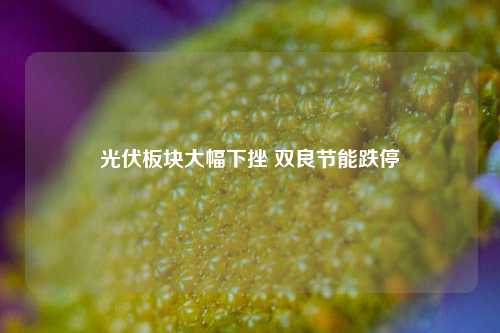 光伏板块大幅下挫 双良节能跌停-第1张图片-旅游攻略分享平台-独家小贴士