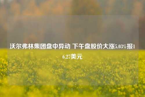 沃尔弗林集团盘中异动 下午盘股价大涨5.03%报16.27美元-第1张图片-旅游攻略分享平台-独家小贴士