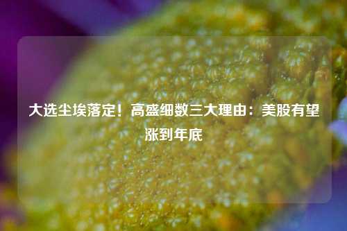 大选尘埃落定！高盛细数三大理由：美股有望涨到年底-第1张图片-旅游攻略分享平台-独家小贴士