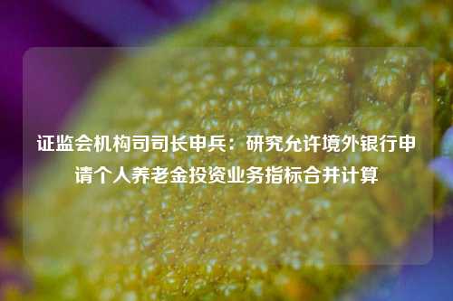 证监会机构司司长申兵：研究允许境外银行申请个人养老金投资业务指标合并计算-第1张图片-旅游攻略分享平台-独家小贴士