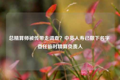 总精算师被传带走调查？中英人寿已撤下名字 委任临时精算负责人-第1张图片-旅游攻略分享平台-独家小贴士