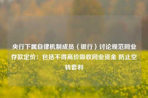 央行下属自律机制成员（银行）讨论规范同业存款定价：包括不得高价吸收同业资金 防止空转套利-第1张图片-旅游攻略分享平台-独家小贴士