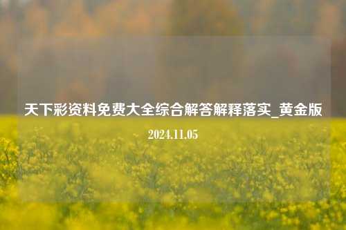 天下彩资料免费大全综合解答解释落实_黄金版2024.11.05-第1张图片-旅游攻略分享平台-独家小贴士