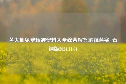 黄大仙免费精准资料大全综合解答解释落实_青铜版2024.11.04-第1张图片-旅游攻略分享平台-独家小贴士