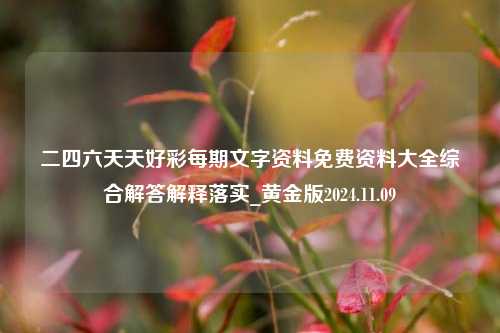 二四六天天好彩每期文字资料免费资料大全综合解答解释落实_黄金版2024.11.09-第1张图片-旅游攻略分享平台-独家小贴士