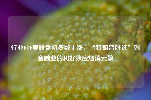 行业ETF美股盘初多数上涨，“特朗普胜选”对金融业的利好效应烟消云散-第1张图片-旅游攻略分享平台-独家小贴士