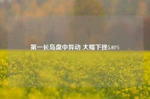 第一长岛盘中异动 大幅下挫5.01%-第1张图片-旅游攻略分享平台-独家小贴士