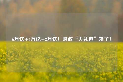 6万亿+4万亿+2万亿！财政“大礼包”来了！-第1张图片-旅游攻略分享平台-独家小贴士