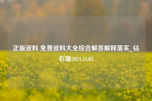 正版资料 免费资料大全综合解答解释落实_钻石版2024.11.05-第1张图片-旅游攻略分享平台-独家小贴士