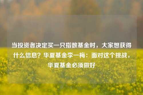 当投资者决定买一只指数基金时，大家想获得什么信息？华夏基金李一梅：面对这个挑战，华夏基金必须做好-第1张图片-旅游攻略分享平台-独家小贴士