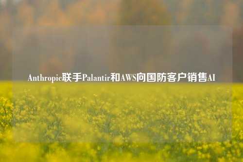 Anthropic联手Palantir和AWS向国防客户销售AI-第1张图片-旅游攻略分享平台-独家小贴士