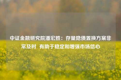 中证金融研究院潘宏胜：存量隐债置换方案非常及时  有助于稳定和增强市场信心-第1张图片-旅游攻略分享平台-独家小贴士