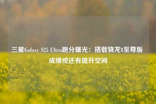 三星Galaxy S25 Ultra跑分曝光：搭载骁龙8至尊版 成绩或还有提升空间-第1张图片-旅游攻略分享平台-独家小贴士