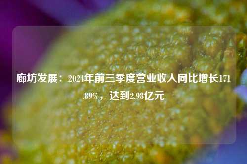 廊坊发展：2024年前三季度营业收入同比增长171.89%，达到2.98亿元-第1张图片-旅游攻略分享平台-独家小贴士