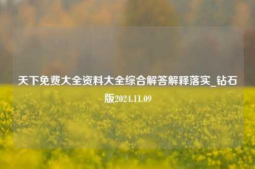 天下免费大全资料大全综合解答解释落实_钻石版2024.11.09-第1张图片-旅游攻略分享平台-独家小贴士