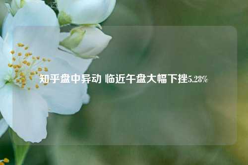 知乎盘中异动 临近午盘大幅下挫5.28%-第1张图片-旅游攻略分享平台-独家小贴士