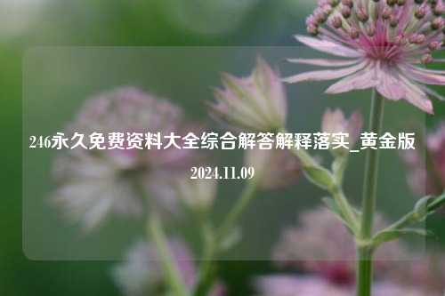 246永久免费资料大全综合解答解释落实_黄金版2024.11.09-第1张图片-旅游攻略分享平台-独家小贴士