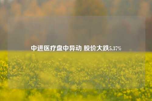 中进医疗盘中异动 股价大跌5.37%-第1张图片-旅游攻略分享平台-独家小贴士