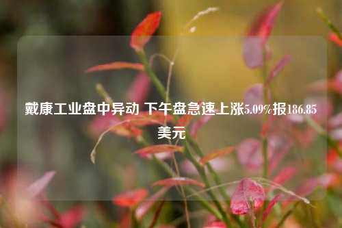 戴康工业盘中异动 下午盘急速上涨5.09%报186.85美元-第1张图片-旅游攻略分享平台-独家小贴士