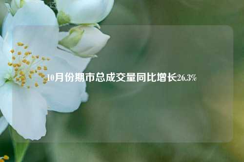 10月份期市总成交量同比增长26.3%-第1张图片-旅游攻略分享平台-独家小贴士