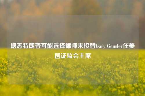 据悉特朗普可能选择律师来接替Gary Gensler任美国证监会主席-第1张图片-旅游攻略分享平台-独家小贴士