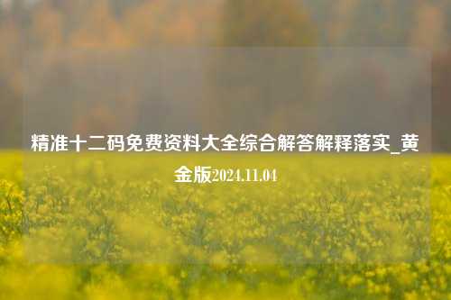 精准十二码免费资料大全综合解答解释落实_黄金版2024.11.04-第1张图片-旅游攻略分享平台-独家小贴士