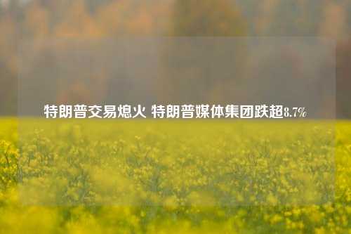 特朗普交易熄火 特朗普媒体集团跌超8.7%-第1张图片-旅游攻略分享平台-独家小贴士