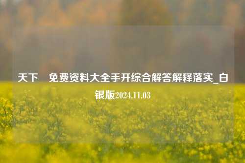 天下釆免费资料大全手开综合解答解释落实_白银版2024.11.03-第1张图片-旅游攻略分享平台-独家小贴士