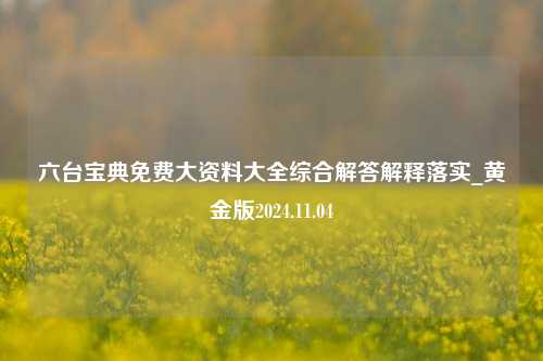 六台宝典免费大资料大全综合解答解释落实_黄金版2024.11.04-第1张图片-旅游攻略分享平台-独家小贴士