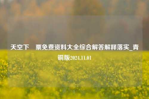 天空下釆票免费资料大全综合解答解释落实_青铜版2024.11.01-第1张图片-旅游攻略分享平台-独家小贴士