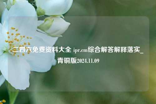 二四六免费资料大全 ipr.cm综合解答解释落实_青铜版2024.11.09-第1张图片-旅游攻略分享平台-独家小贴士