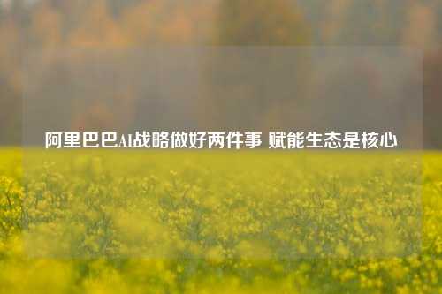 阿里巴巴AI战略做好两件事 赋能生态是核心