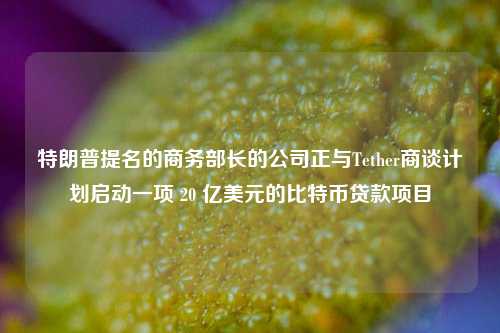 特朗普提名的商务部长的公司正与Tether商谈计划启动一项 20 亿美元的比特币贷款项目