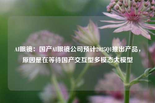 AI眼镜：国产AI眼镜公司预计2025Q1推出产品，原因是在等待国产交互型多模态大模型