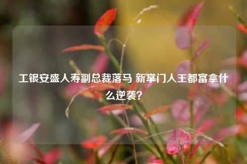 工银安盛人寿副总裁落马 新掌门人王都富拿什么逆袭？