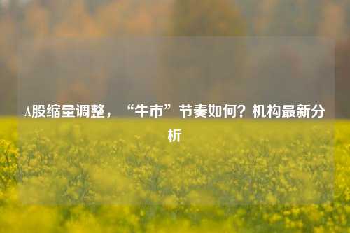 A股缩量调整，“牛市”节奏如何？机构最新分析