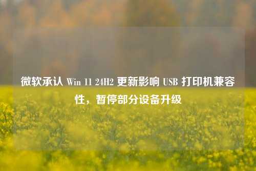 微软承认 Win 11 24H2 更新影响 USB 打印机兼容性，暂停部分设备升级