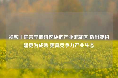 视频丨陈吉宁调研区块链产业集聚区 指出要构建更为成熟 更具竞争力产业生态