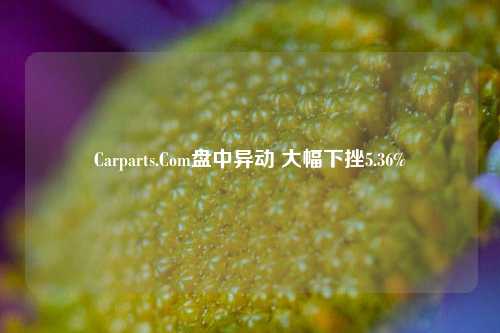 Carparts.Com盘中异动 大幅下挫5.36%