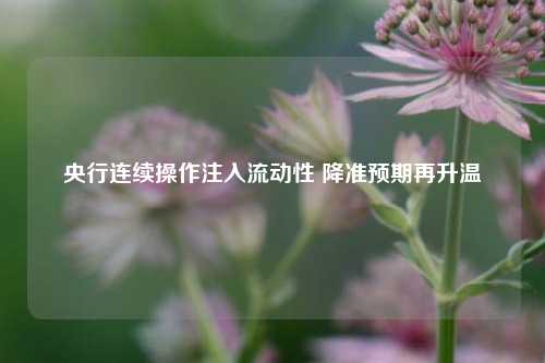 央行连续操作注入流动性 降准预期再升温