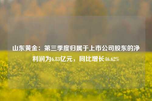 山东黄金：第三季度归属于上市公司股东的净利润为6.83亿元，同比增长46.62%