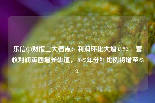 乐信Q3财报三大看点：利润环比大增33.2%，营收利润重回增长轨道，2025年分红比例将增至25%