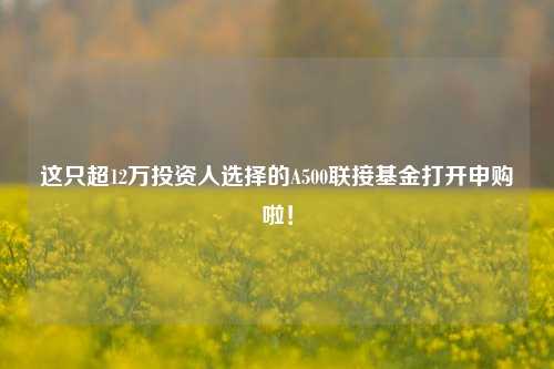 这只超12万投资人选择的A500联接基金打开申购啦！